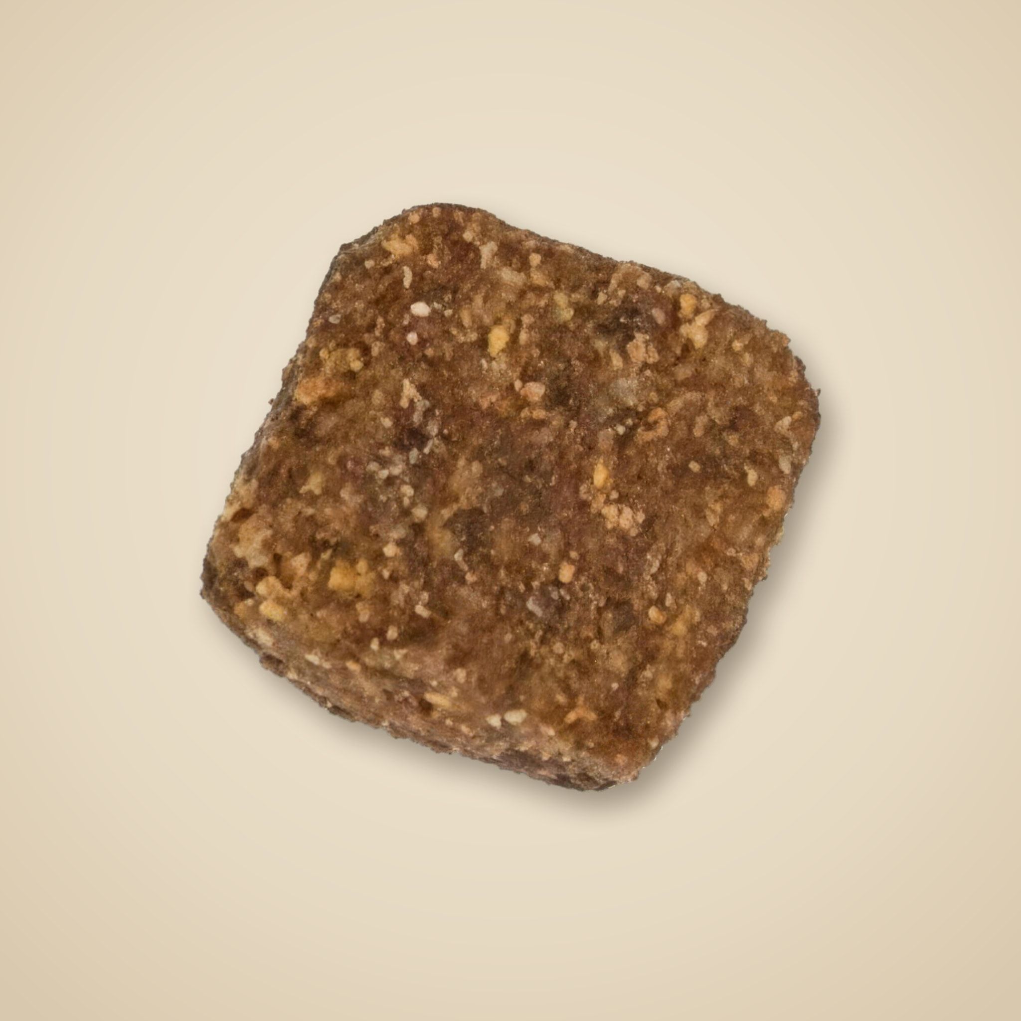 Jedna granule Adult Salmon zblízka