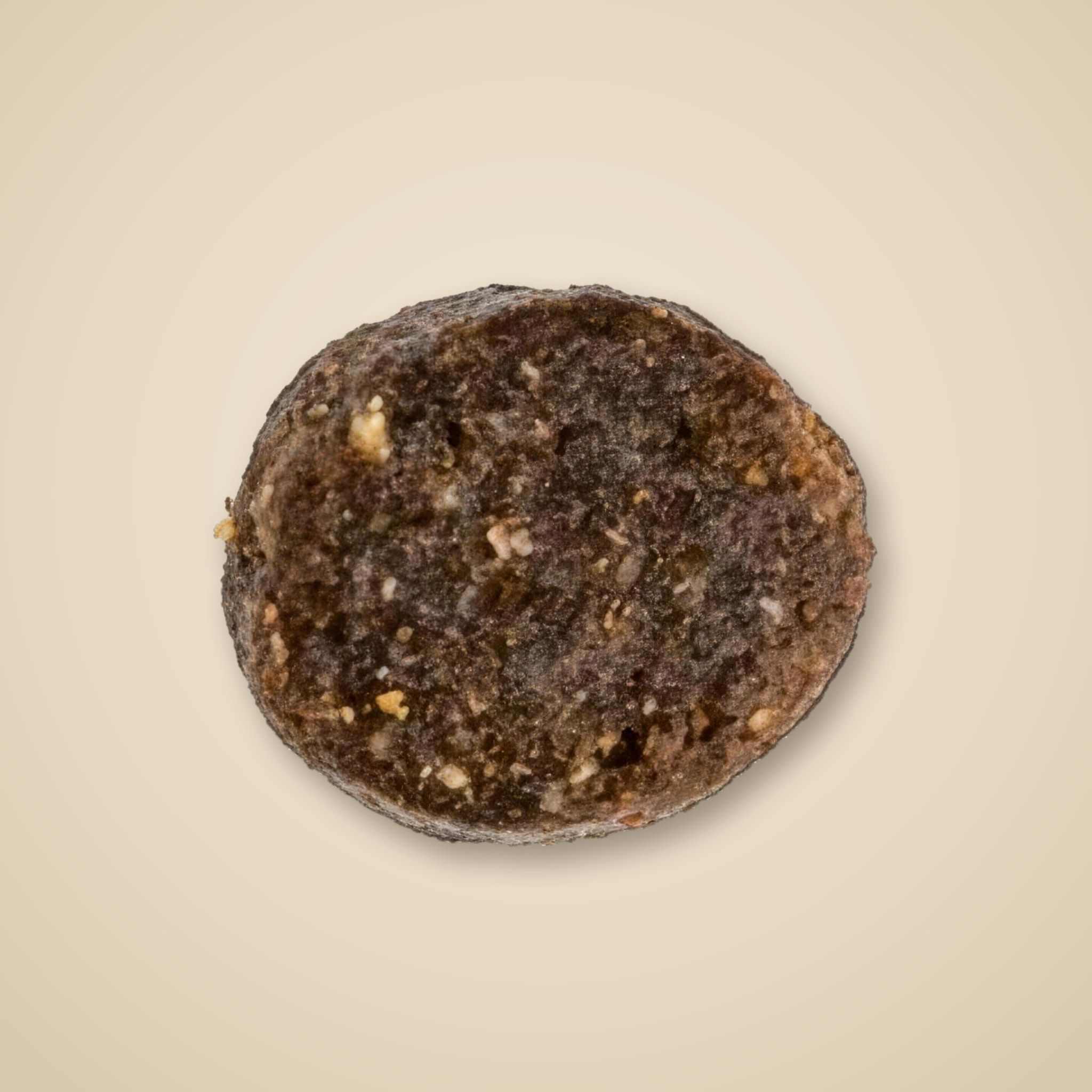 Jedna granule Junior Salmon Grain Free zblízka