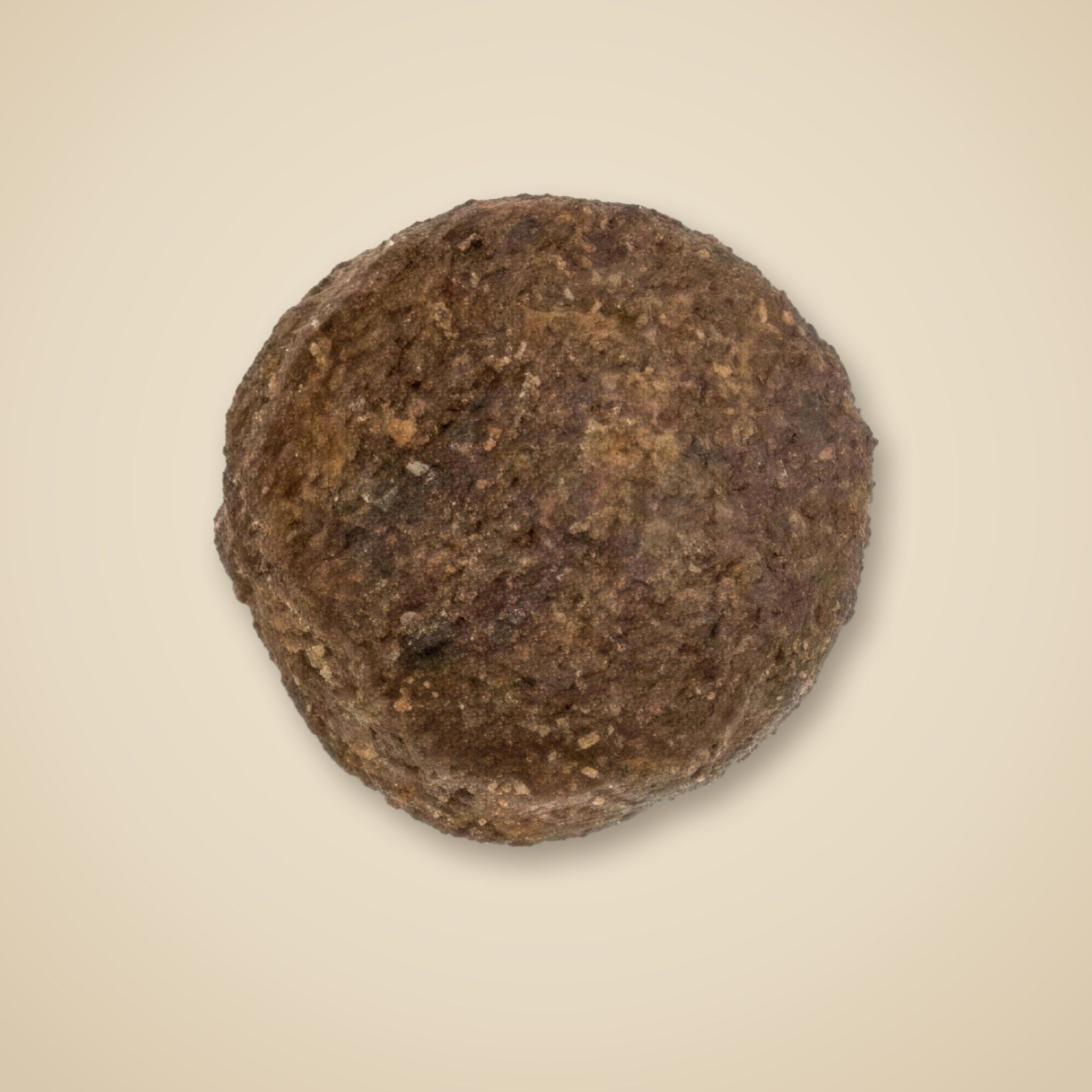 Jedna granule Adult Insect Grain Free zblízka