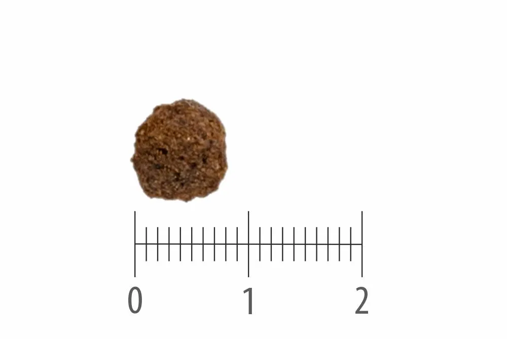 Granule Mini Salmon Grain Free nad pravítkem s dělením na centimetry a milimetry