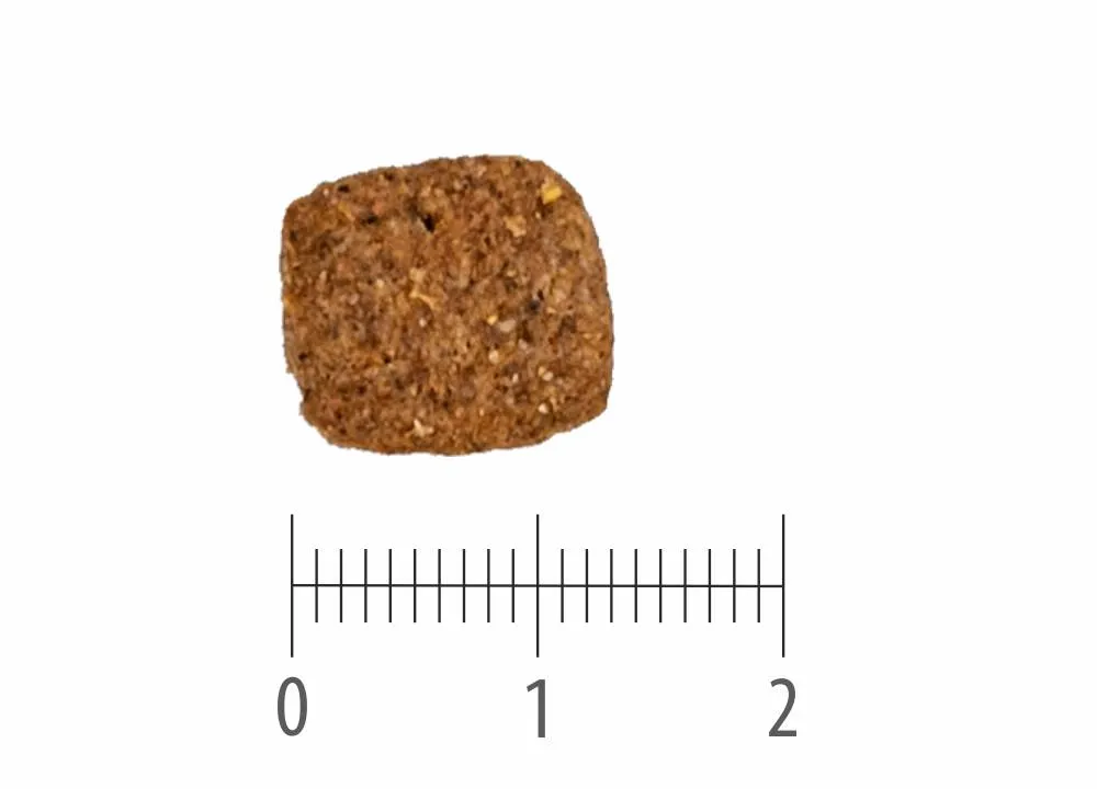 Granule Adult Beef nad pravítkem s dělením na centimetry a milimetry