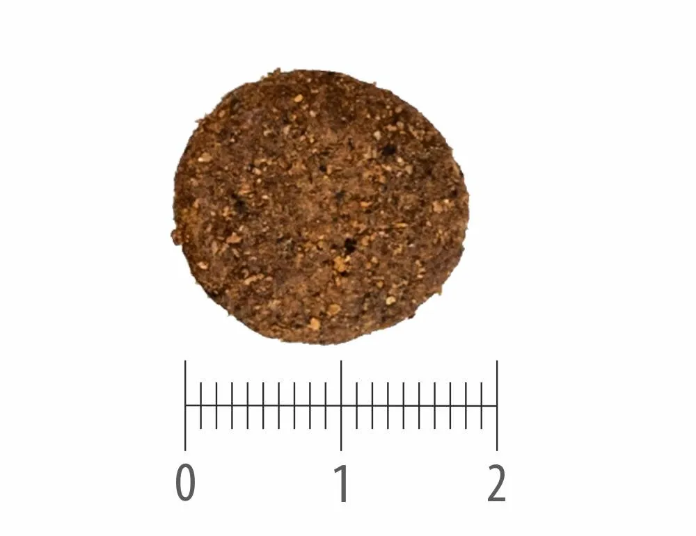 Granule Adult Pork Grain Free nad pravítkem s dělením na centimetry a milimetry