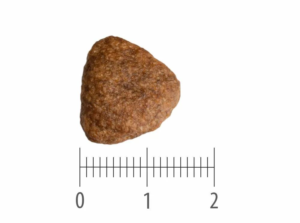 Granule Adult Active Grain Free nad pravítkem s dělením na centimetry a milimetry