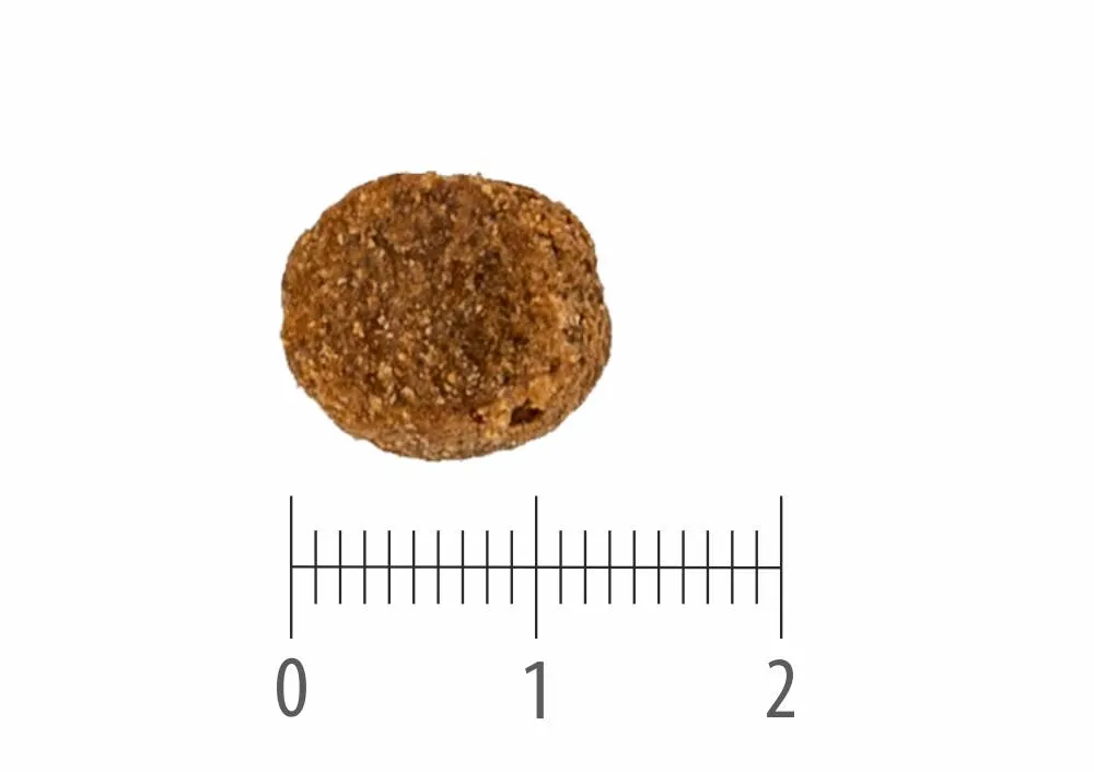 Granule Adult Sensitive Light Grain Free nad pravítkem s dělením na centimetry a milimetry