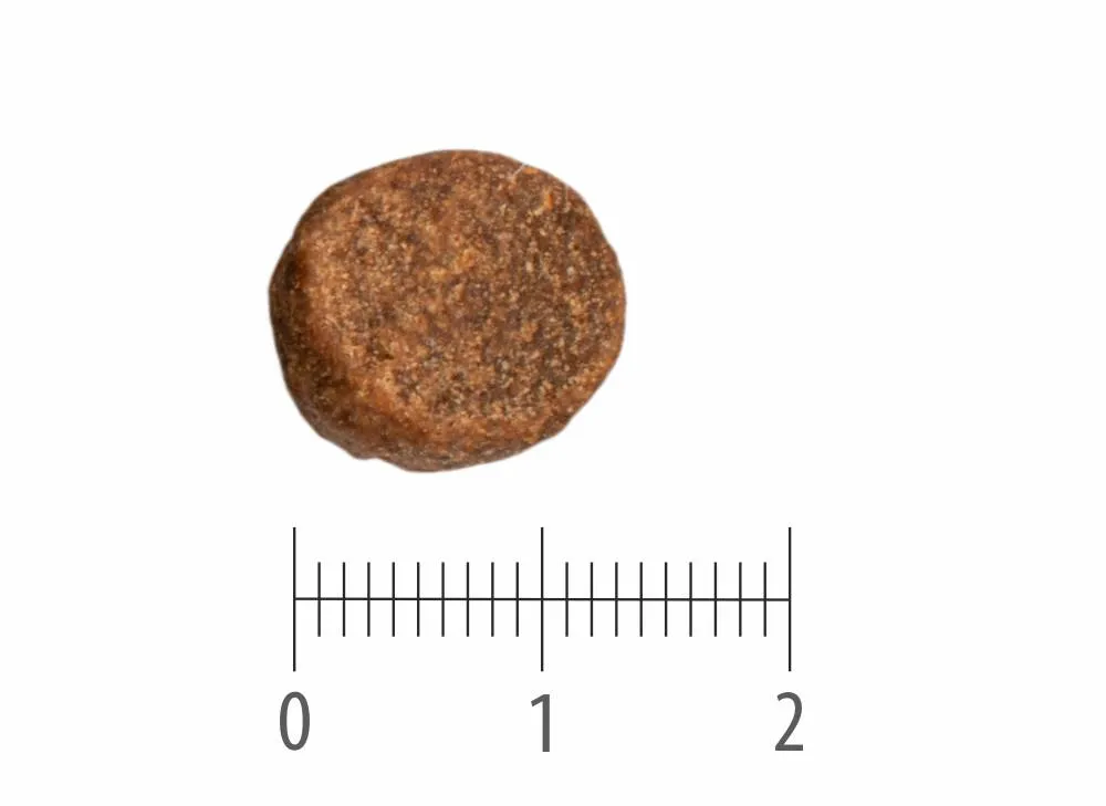Granule Adult Lamb Grain Free nad pravítkem s dělením na centimetry a milimetry