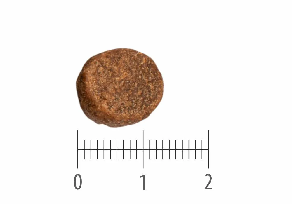 Granule Senior Sensitive Reindeer nad pravítkem s dělením na centimetry a milimetry