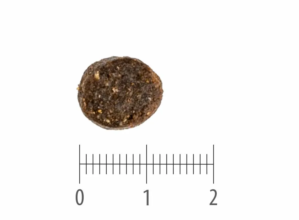 Granule Junior Salmon Grain Free nad pravítkem s dělením na centimetry a milimetry