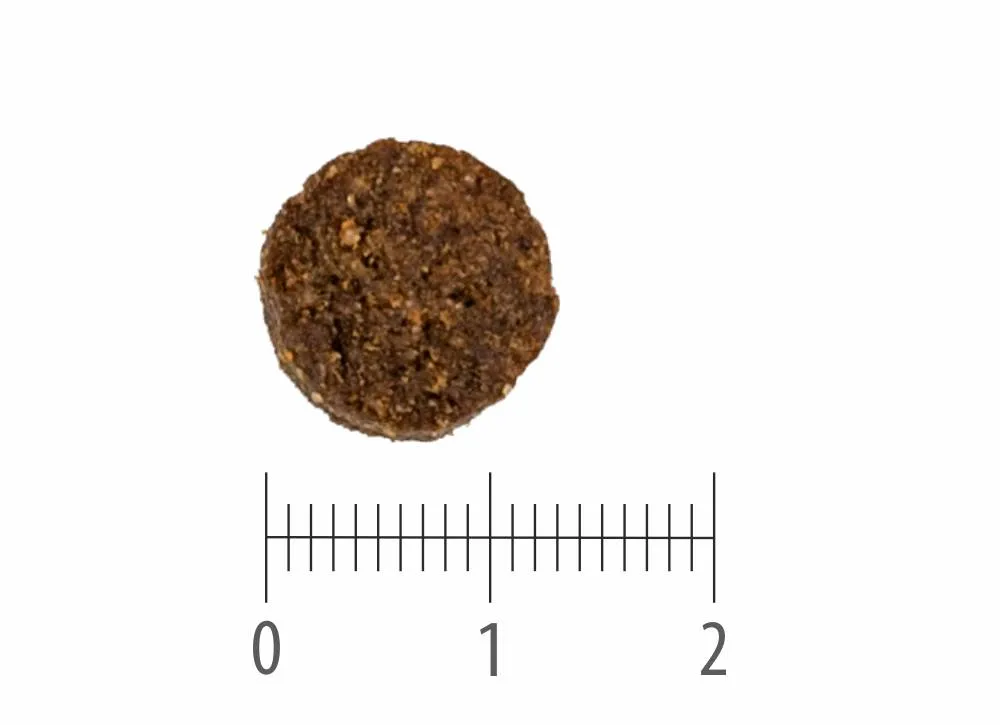 Granule Adult Venison nad pravítkem s dělením na centimetry a milimetry