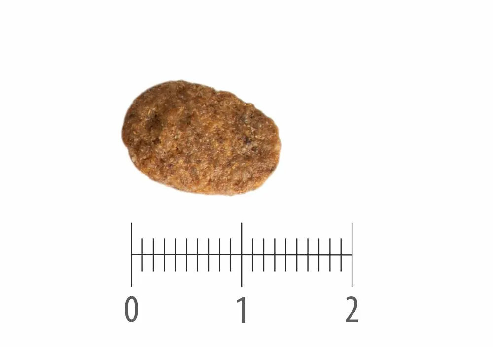 Granule Adult Turkey nad pravítkem s dělením na centimetry a milimetry