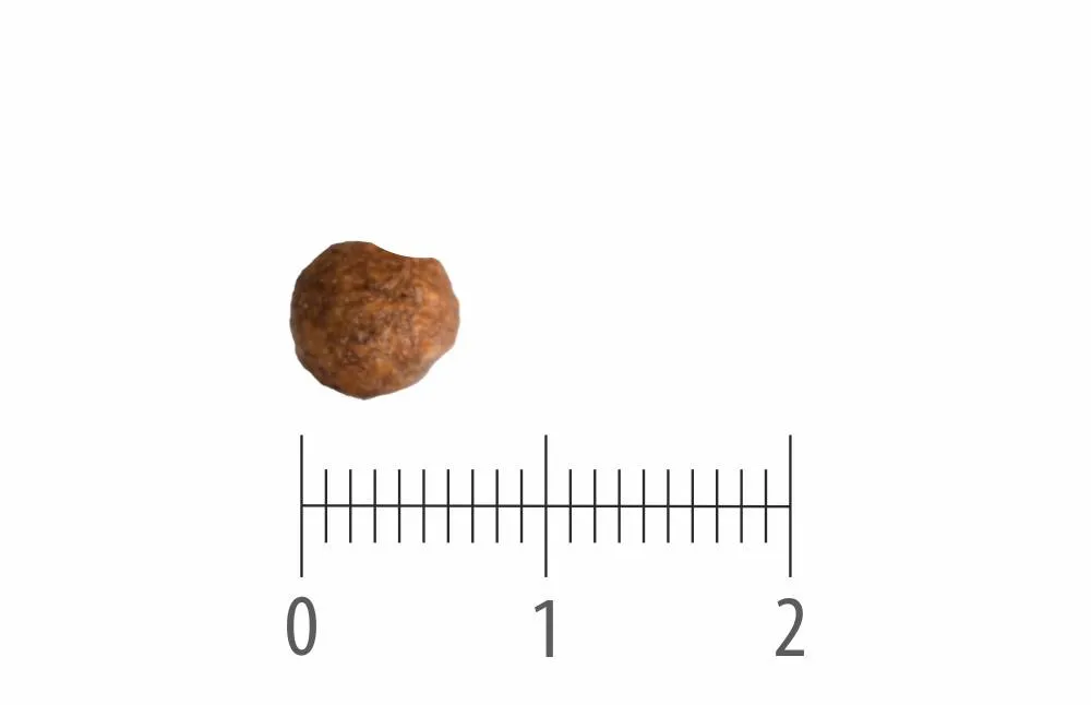 Granule Cat Adult Insect Grain Free nad pravítkem s dělením na centimetry a milimetry