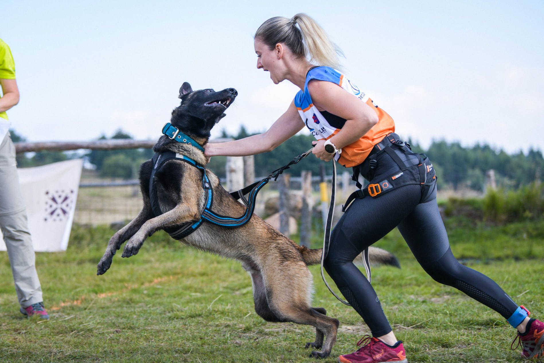 Stephanie Mach a belgický ovčák Antaios v postroji na canicrossovém závodě